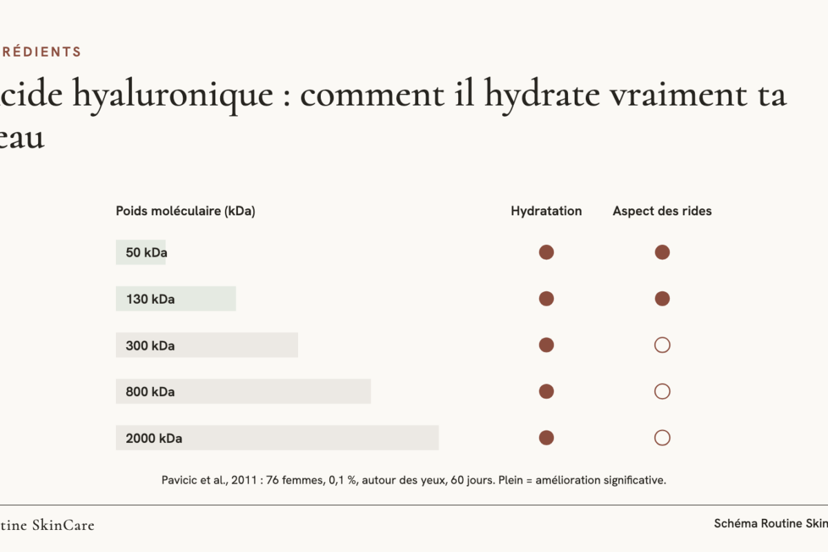 Schéma : cinq poids moléculaires d’acide hyaluronique, de 50 à 2000 kDa, et les résultats observés pour chacun