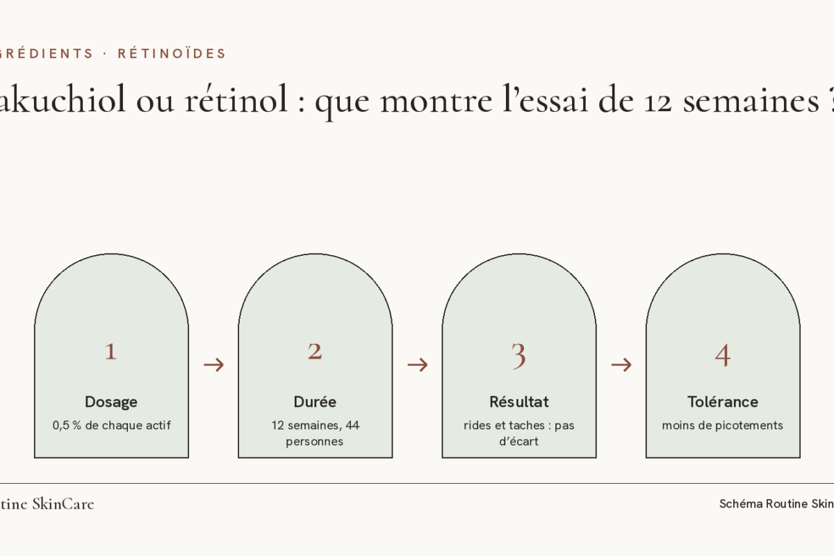 Schéma : bakuchiol et rétinol à 0,5 % donnent le même effet sur les rides et les taches dans l’essai de 12 semaines, avec moins de picotements pour le bakuchiol