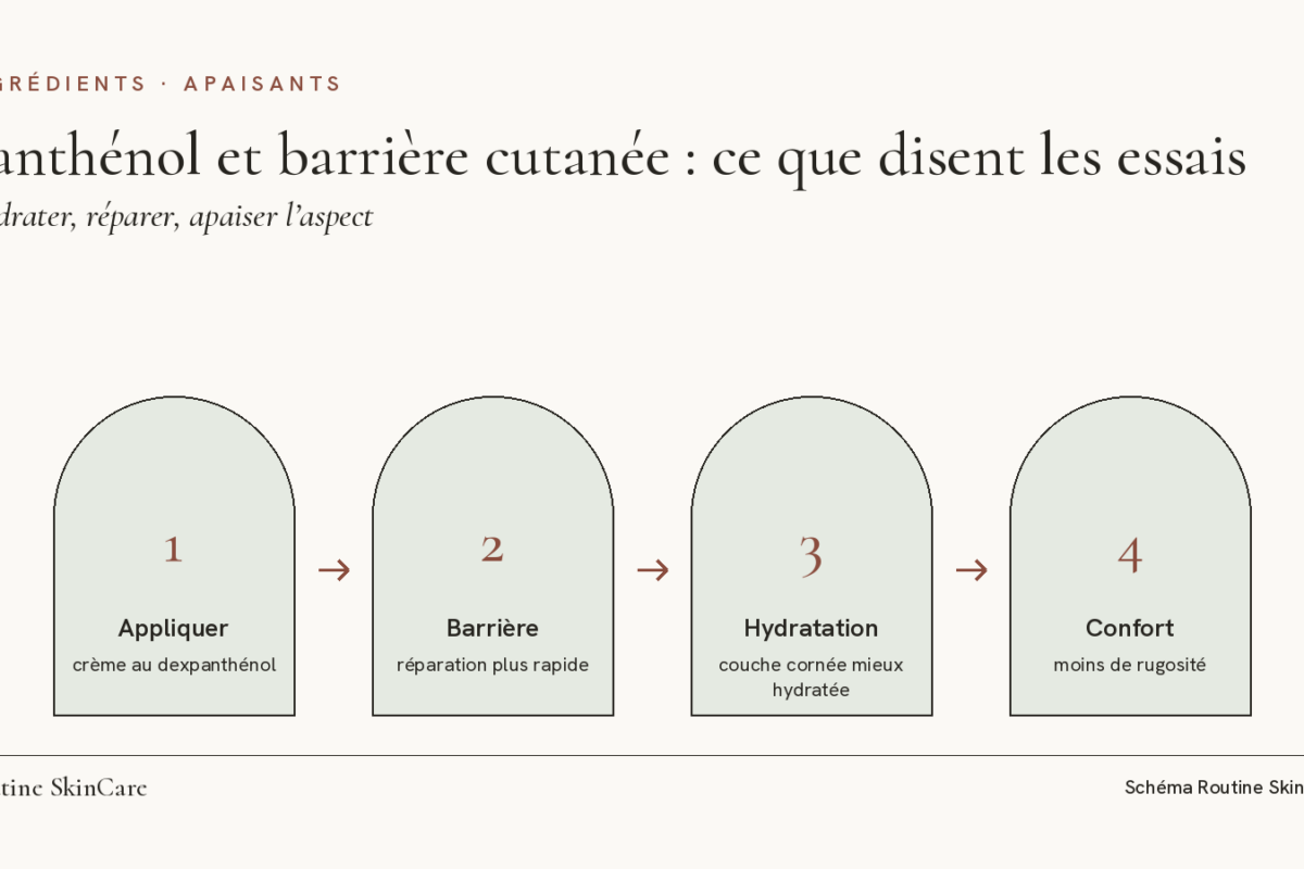 Schéma en quatre étapes : crème au panthénol, barrière réparée plus vite, couche cornée mieux hydratée, peau moins rugueuse